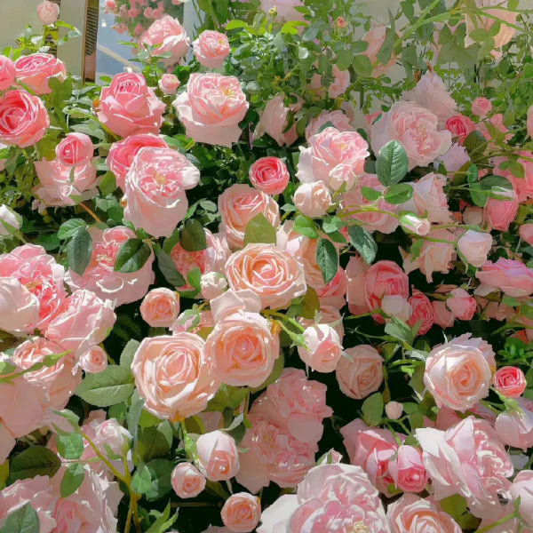 Elegant Climbing Rose Flower Seeds (20,000+ Happy Customers 🌟🌟🌟🌟🌟)