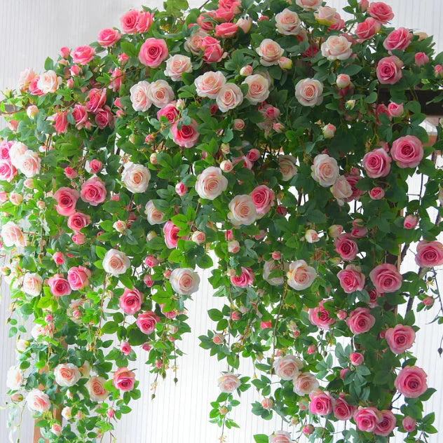 Elegant Climbing Rose Flower Seeds (20,000+ Happy Customers 🌟🌟🌟🌟🌟)