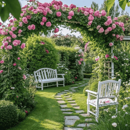 Elegant Climbing Rose Flower Seeds (20,000+ Happy Customers 🌟🌟🌟🌟🌟)