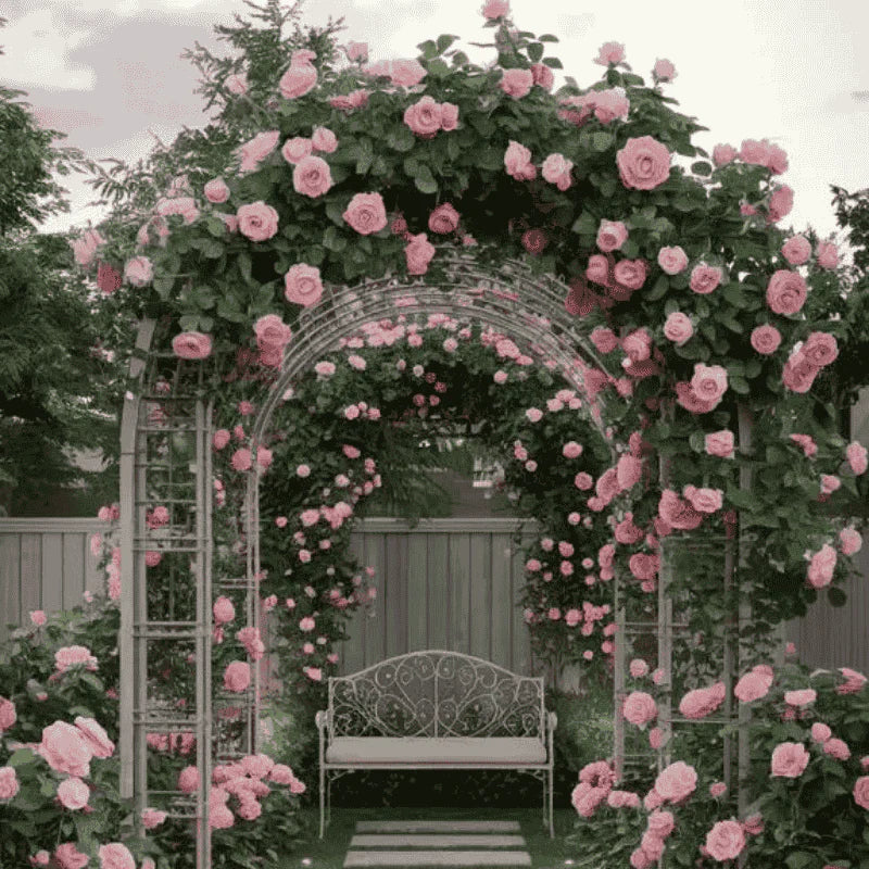 Elegant Climbing Rose Flower Seeds (20,000+ Happy Customers 🌟🌟🌟🌟🌟)