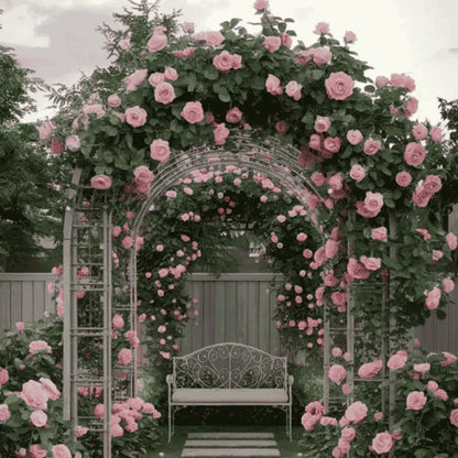 Elegant Climbing Rose Flower Seeds (20,000+ Happy Customers 🌟🌟🌟🌟🌟)